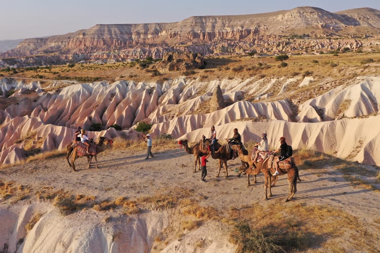 Camel Tour